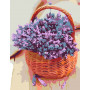 Картина по номерам 35*45 "Аромат лаванды" N00013288 ROSA START